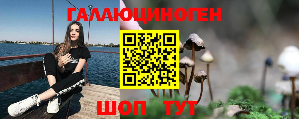 Галлюциногенные грибы ЛСД  где можно купить наркотик  Всеволожск  Вход с VPN 